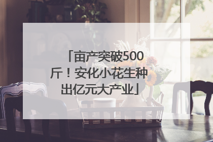 亩产突破500斤！安化小花生种出亿元大产业
